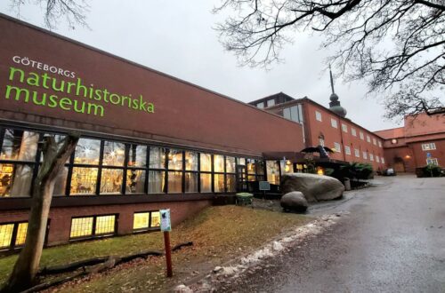 【瑞典】哥特堡免費景點，大人小孩都會愛上的自然歷史博物館